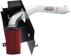 AEM Polished Brute Force Air Intake 02-07 Dodge Ram 4.7L